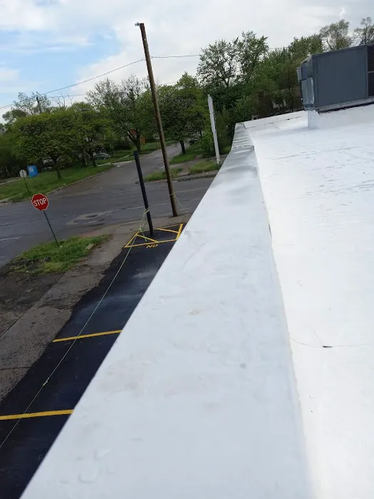 EL Gato roofing Picture 8