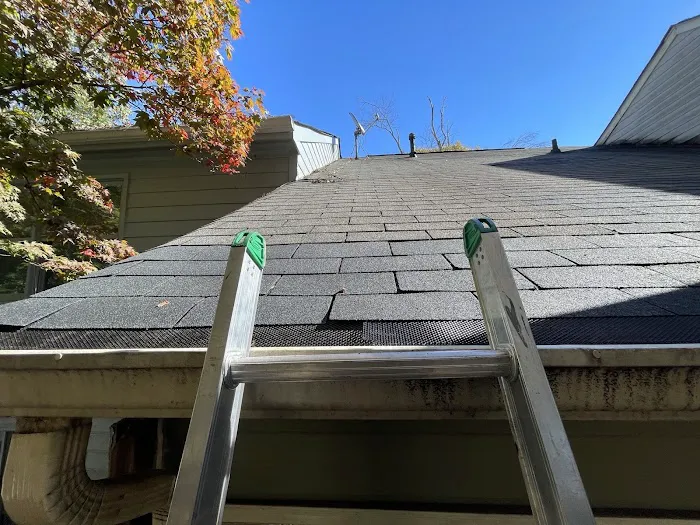 Mr. Roofer Picture 2