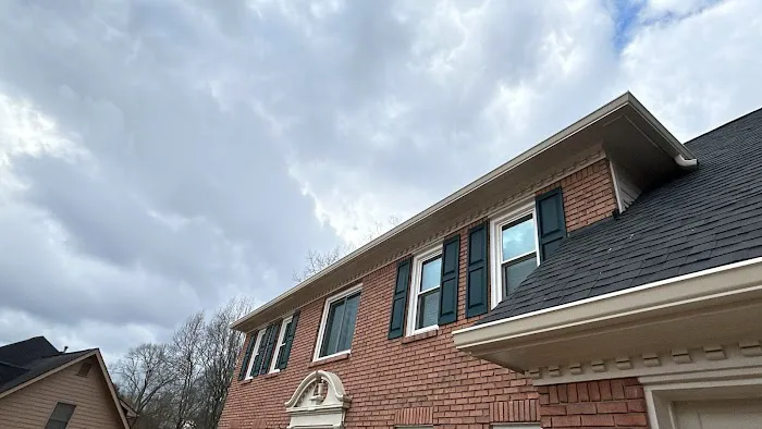 Big Dom’s Gutters Picture 8