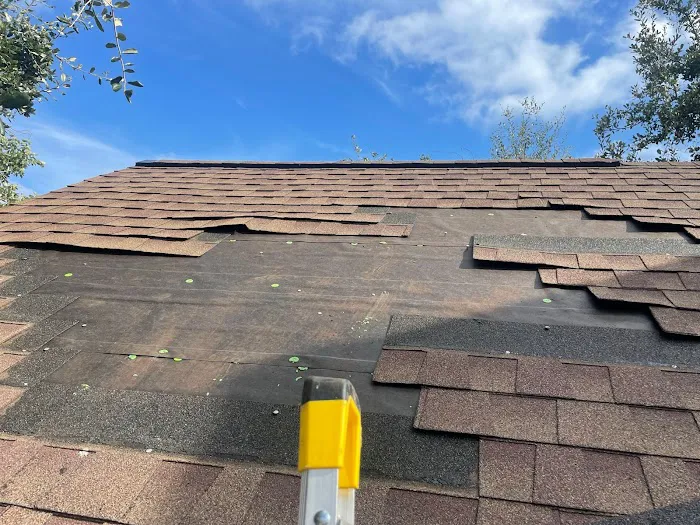 V roof Picture 4