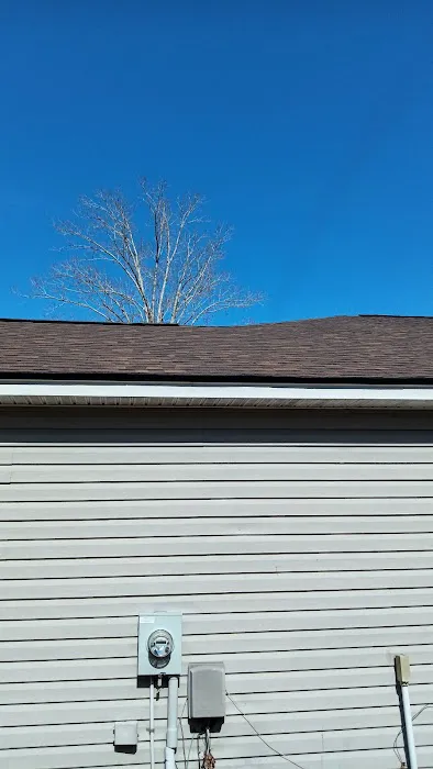 Beaver Roofing & Gutters Picture 10