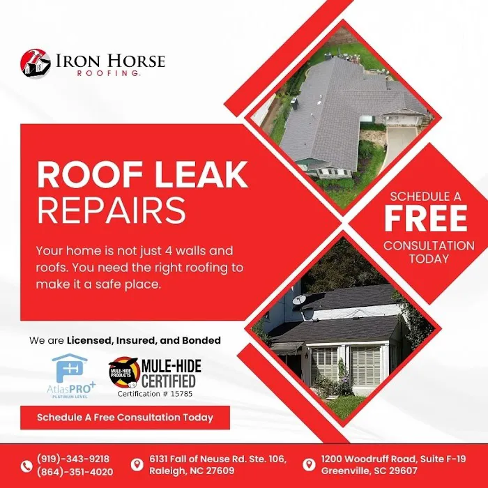 Iron Horse Roofing Picture 7