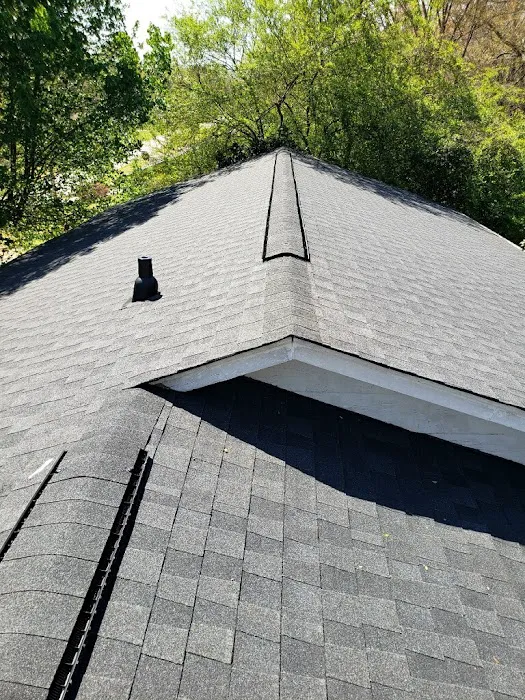 Hugo Roofing Picture 4