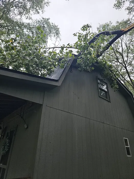 Hugo Roofing Picture 8