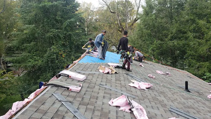 Prescription Roofing Picture 6