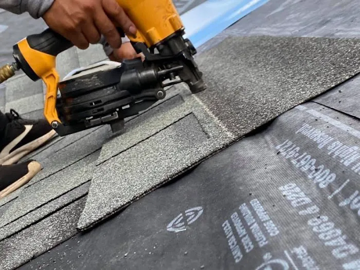Best Roof In Town Picture 8