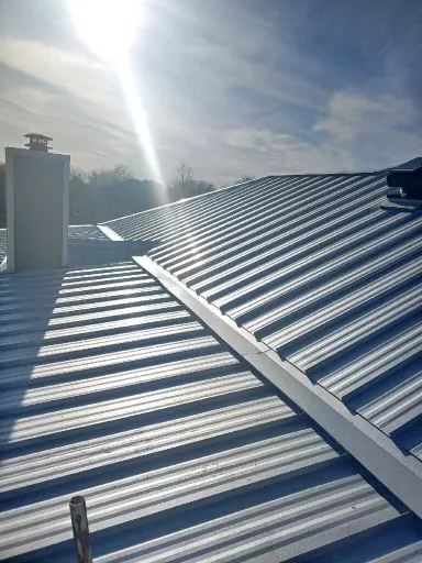 Best Roof In Town Picture 10