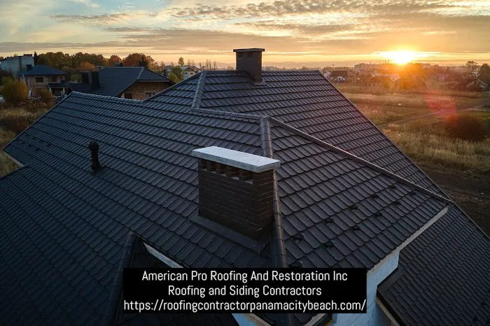 American Pro Roofing And Restoration Inc Picture 2