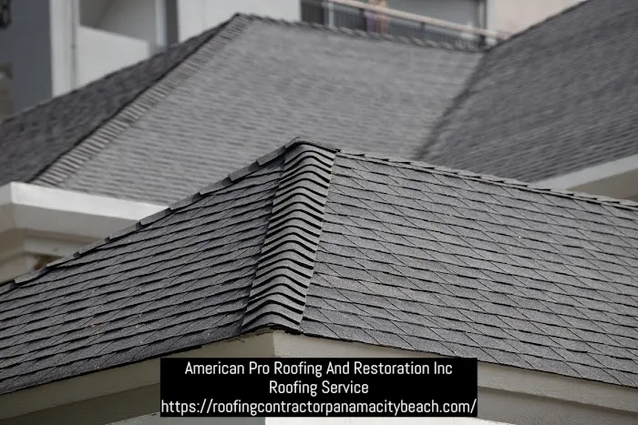 American Pro Roofing And Restoration Inc Picture 6
