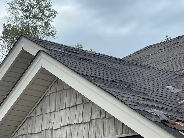 Mighty Dog Roofing of Columbia Picture 4