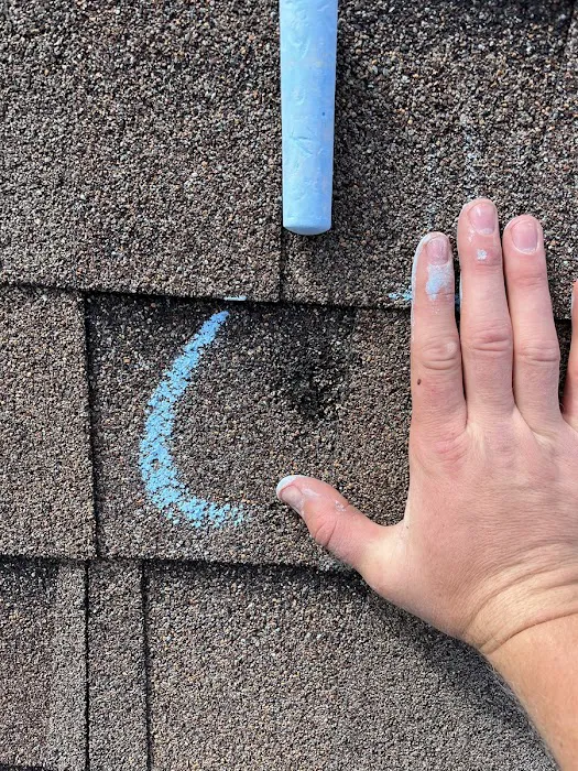 Rhino Roofers: Austin Roofing Company Picture 10