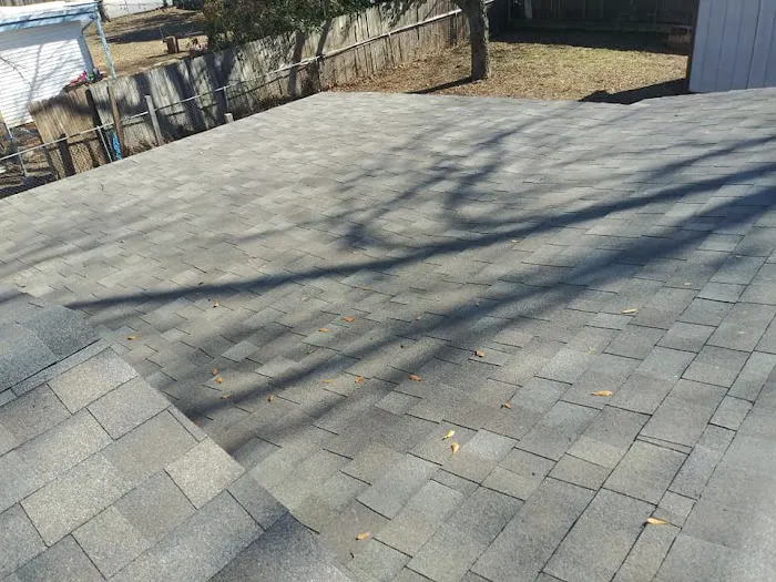 Roof Royale Picture 3
