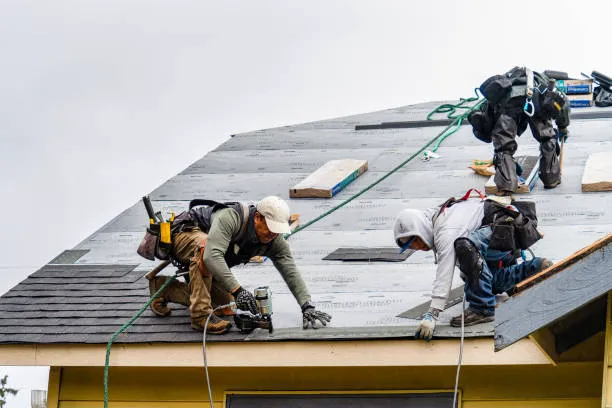 Barbaro Roofing Picture 2