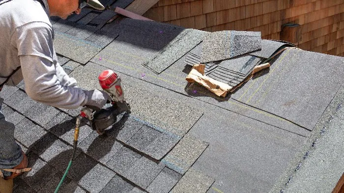 Barbaro Roofing Picture 1