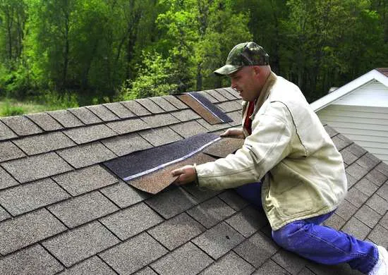 Barbaro Roofing Picture 4
