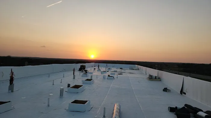 Architecture Roof Systems Picture 10