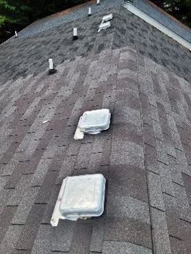 Mighty Dog Roofing of Southeast Tampa Picture 7