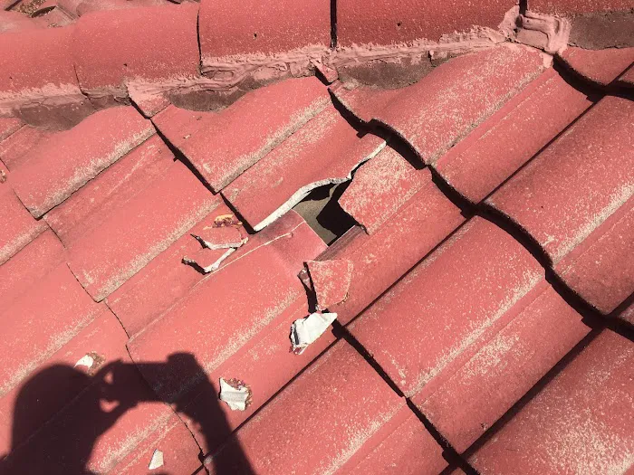 Mahan Home & Commercial Services, LLC Picture 2