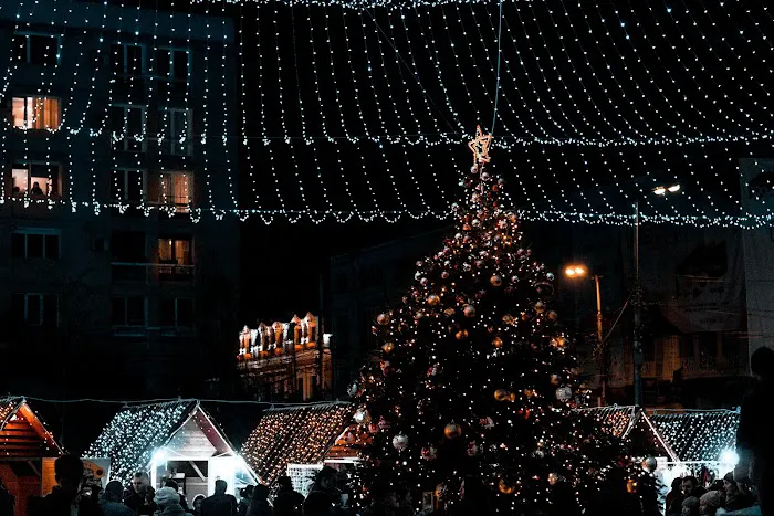 Simply Better Roofing & Holiday Lighting | Serving Central Texas Picture 4