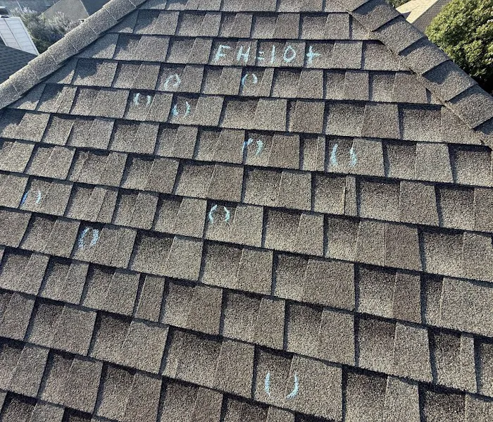 Veritas Roofing Picture 1