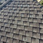 Veritas Roofing