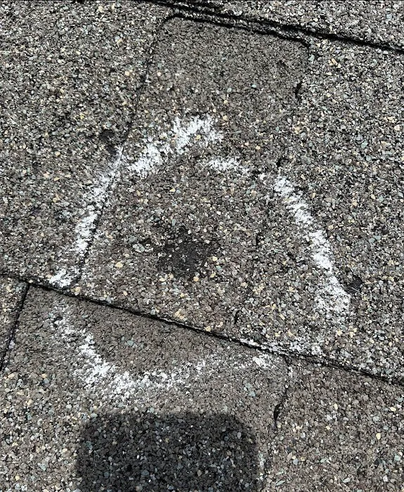 Veritas Roofing Picture 4