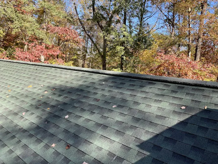 Ricardo's Alpha Roofing Picture 3