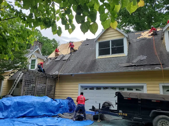 Ricardo's Alpha Roofing Picture 4