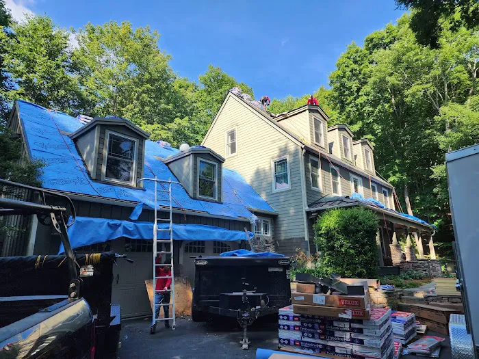 Ricardo's Alpha Roofing Picture 7