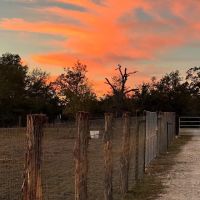 RocStout Roofing and Construction ico