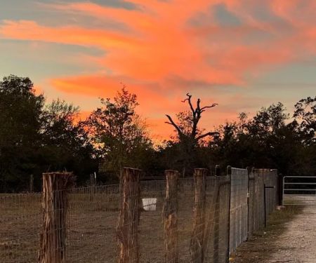 RocStout Roofing and Construction