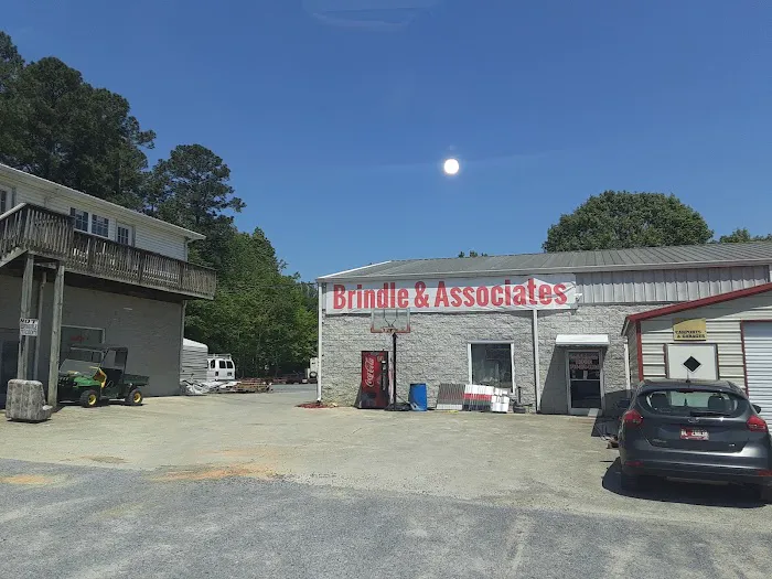 Brindle & Associates Picture 1