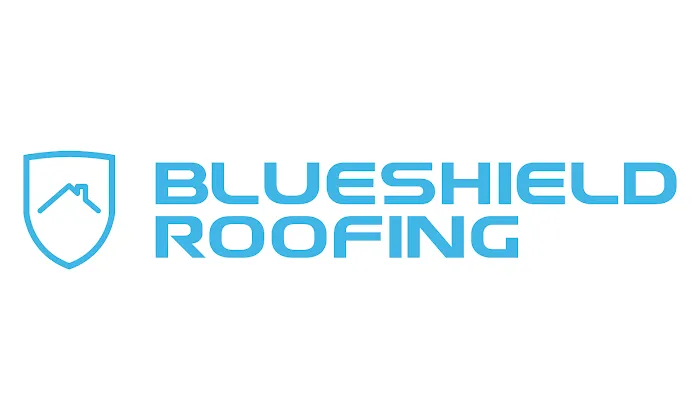 BlueShield Roofing Picture 4