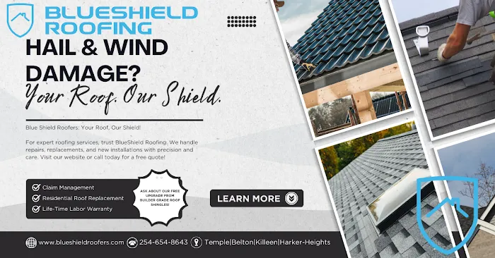 BlueShield Roofing Picture 7