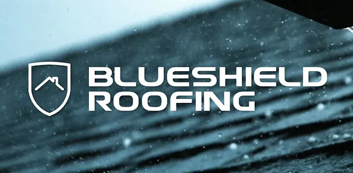 BlueShield Roofing Picture 8
