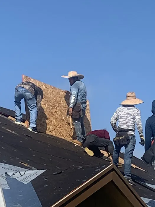 Willie's Roofing Picture 1