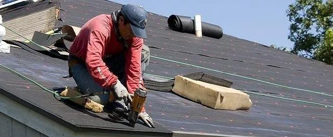 Dynasty Building Solutions Tampa Picture 4