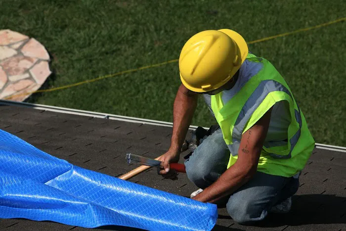 Dynasty Building Solutions Tampa Picture 10