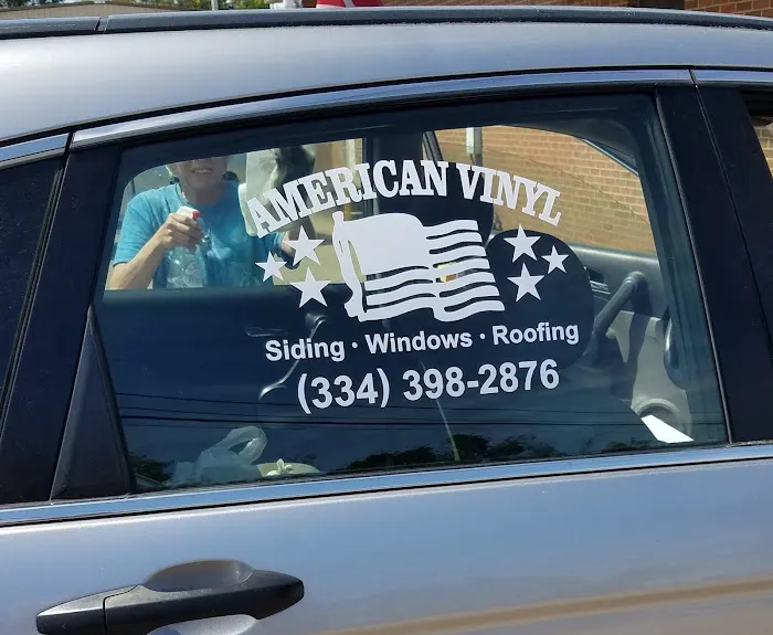 American Vinyl Picture 3