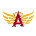 Amen Roofing & Services LLC