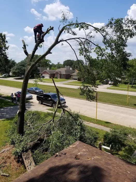 Abbott Roofing Company Picture 4