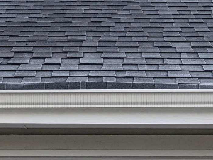 Word of Mouth Roofing Picture 1