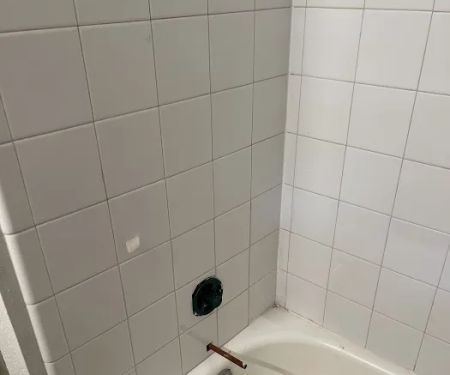 Next Level Roofing and Remodeling LLC