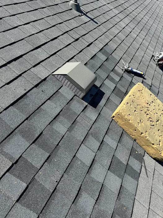 Roof Runners Picture 2