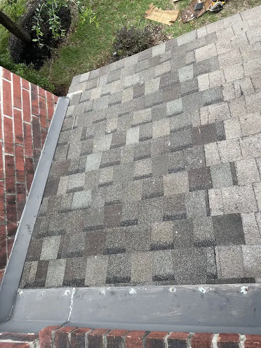 Roof Runners Picture 4