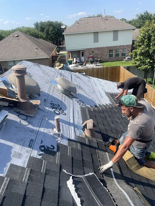 Roof Runners Picture 8