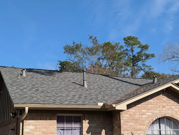 Roof Runners Picture 10