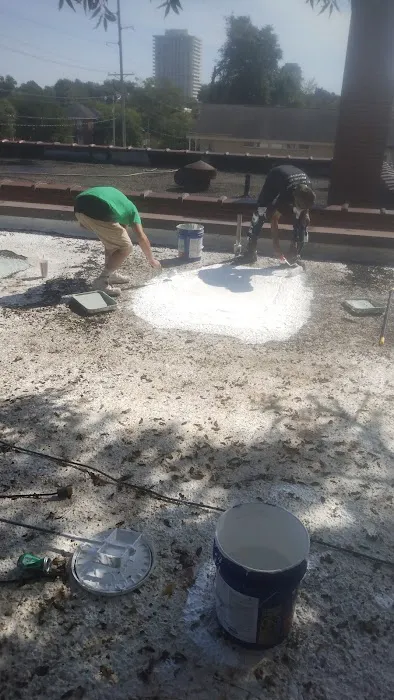 Henderson Roofing & Repairs Picture 10