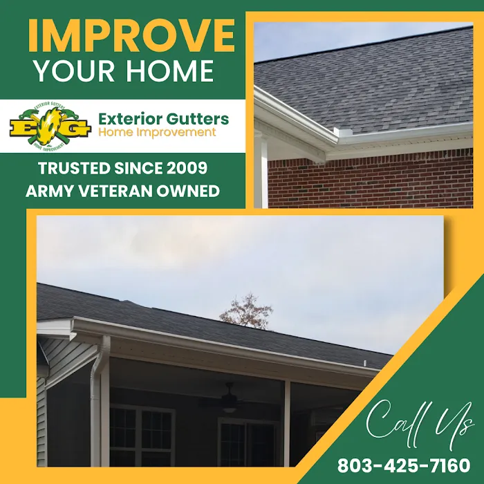 Exterior Gutters and Home Improvement Picture 10