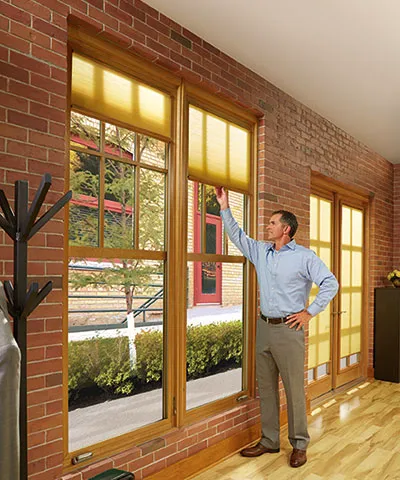 AVI Windows & Doors Picture 1